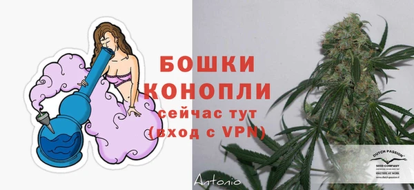 mdpv Вяземский