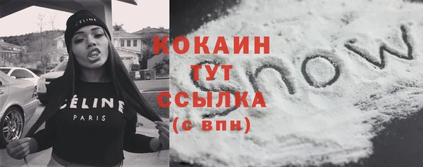 mdpv Вяземский