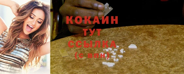 mdpv Вяземский