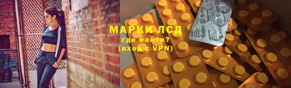 mdpv Вяземский