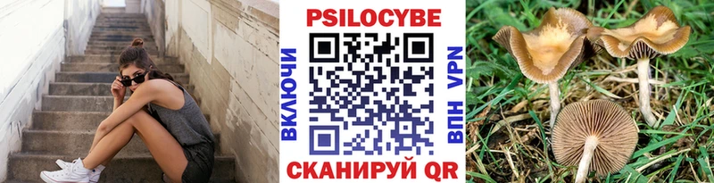 Галлюциногенные грибы Magic Shrooms  Купить где  Киреевск 